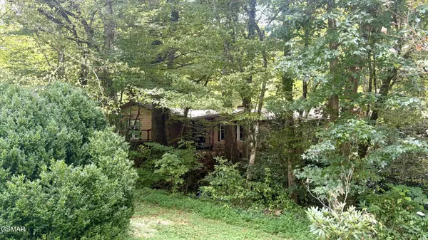 4413 E Scenic Drive, Gatlinburg, TN 37738