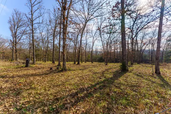 000 Century LN, Lampe, MO 65681