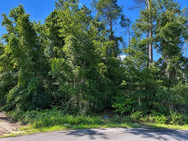 LOT 44 SHORT CT, Spring Hill, FL 34609