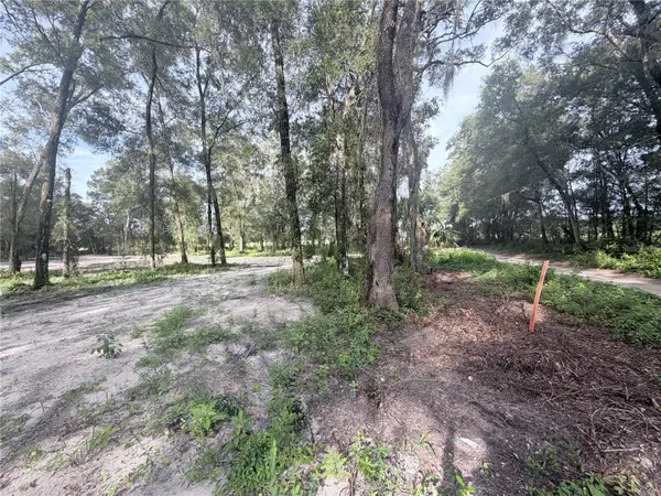 SW 150TH, Dunnellon, FL 34432