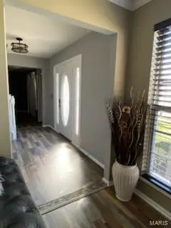 4 Pasture View CT, Wentzville, MO 63385
