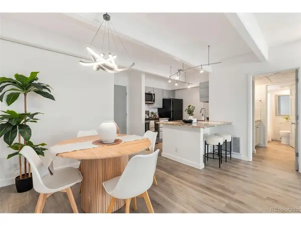 777 N Washington #903, Denver, CO 80203