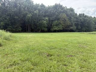 4884 Rock House Rd, Portland, TN 37148