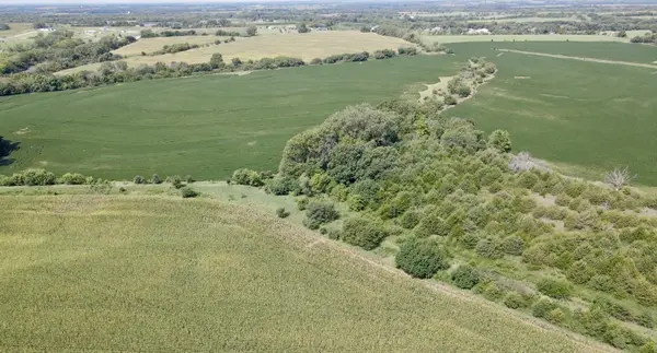 NE/c of NW Hoch Rd & NW 86th St - Tract 3, Silver Lake, KS 66539