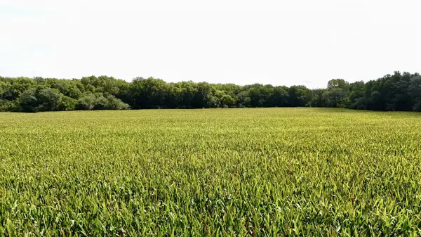 NE/c of NW Hoch Rd & NW 86th St - Tract 3, Silver Lake, KS 66539