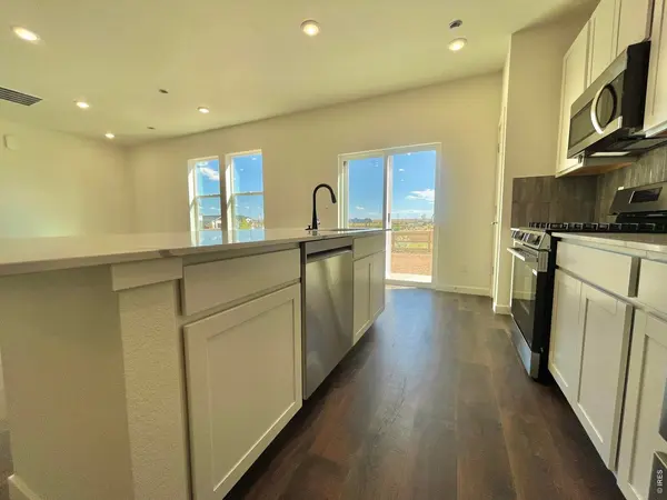 1954 Sorghum, Johnstown, CO 80534