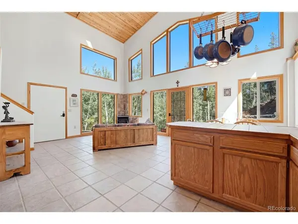 7101 County Road 43, Bailey, CO 80421