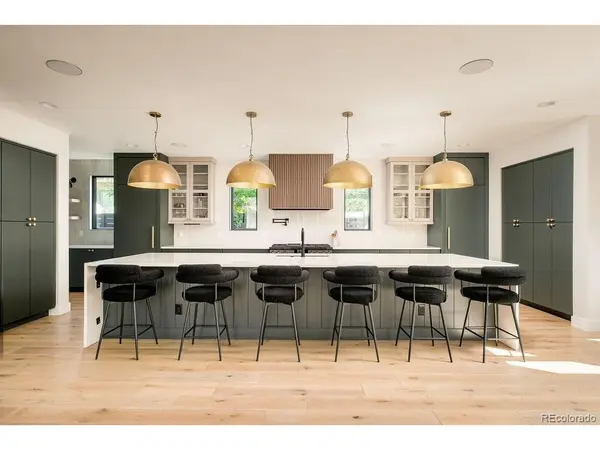 1074 S Cook, Denver, CO 80209