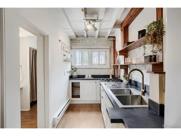 1059 N Emerson #C, Denver, CO 80218