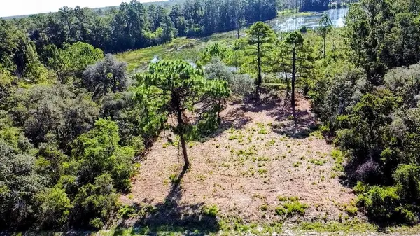 0 MALAUKA PASS, Ocklawaha, FL 32179