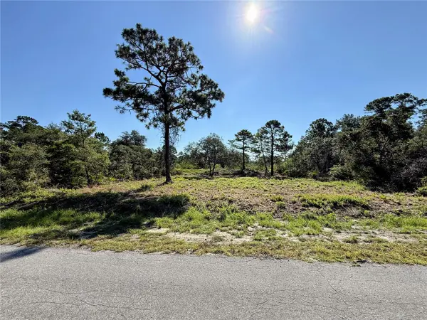 0 MALAUKA PASS, Ocklawaha, FL 32179