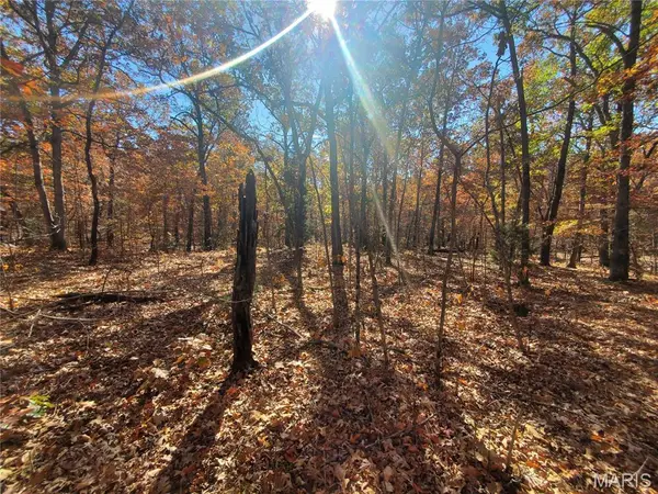 0 S Highway 17, Laquey, MO 65534
