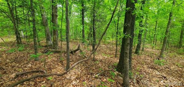 0 S Highway 17, Laquey, MO 65534