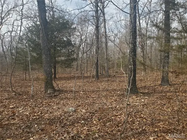 0 S Highway 17, Laquey, MO 65534