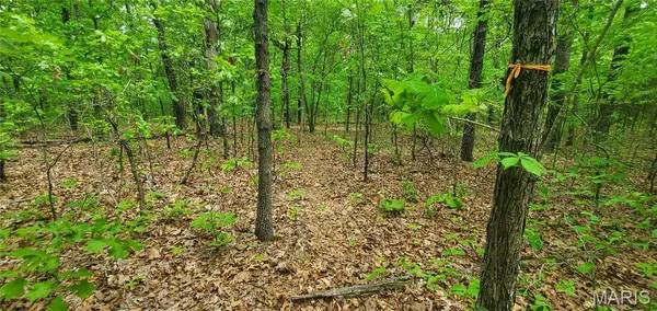 0 S Highway 17, Laquey, MO 65534