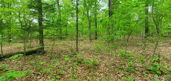 0 S Highway 17, Laquey, MO 65534