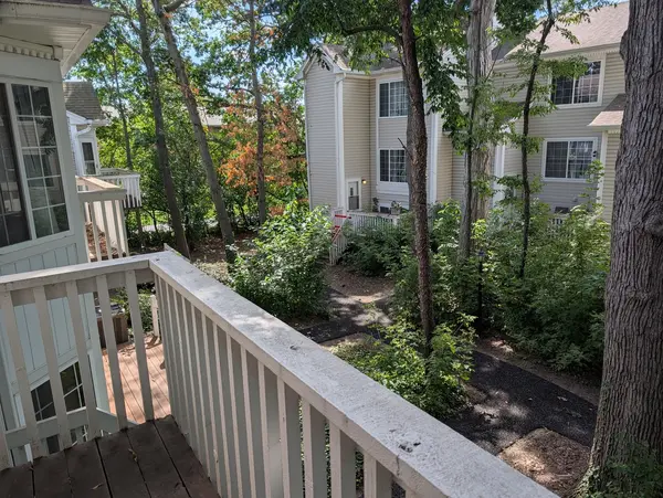 293 W Treehouse LN, Round Lake, IL 60073