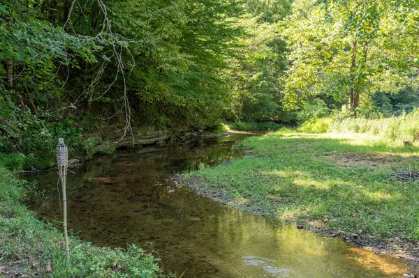 2280 Big Opossum Creek Rd, Linden, TN 37096