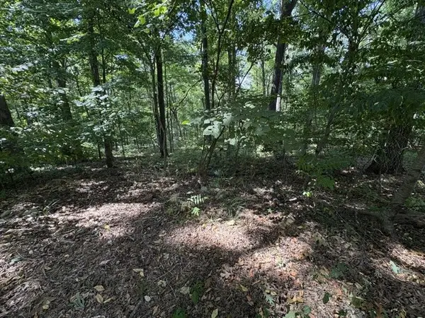 0 Scenic Drive, Dickson, TN 37055