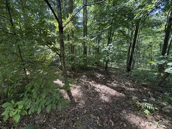 0 Scenic Drive, Dickson, TN 37055