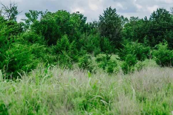 0 RR Rd, Moline, KS 67353