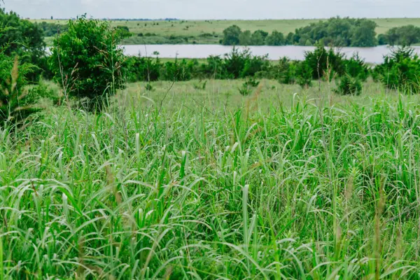 0 RR Rd, Moline, KS 67353