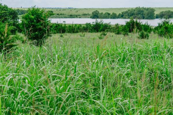 0 RR Rd, Moline, KS 67353