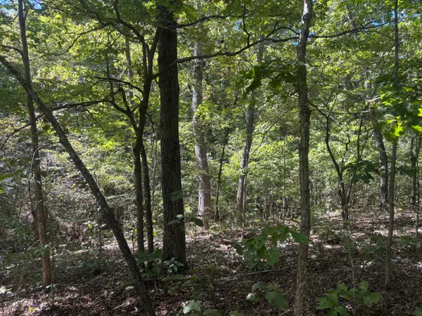 000 Ridgehaven RD, Mammoth Spring, AR 72554