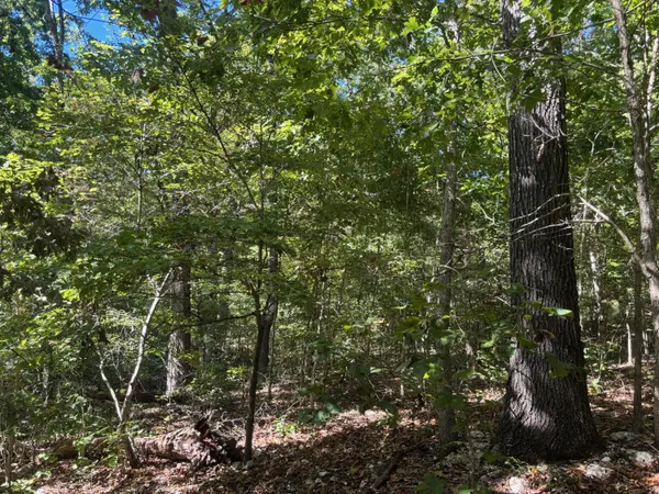 000 Ridgehaven RD, Mammoth Spring, AR 72554
