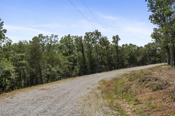 Lot 3 Cedar Bluff LN, Shell Knob, MO 65747