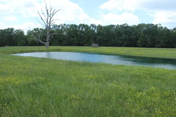 000 W HWY, Thayer, MO 65791