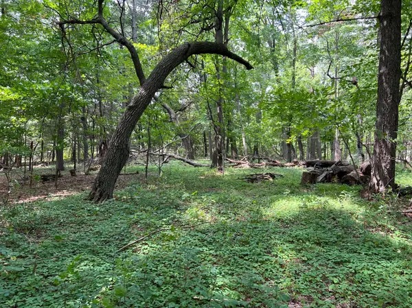 TBD Elmcrest AVE, Stacy, MN 55079