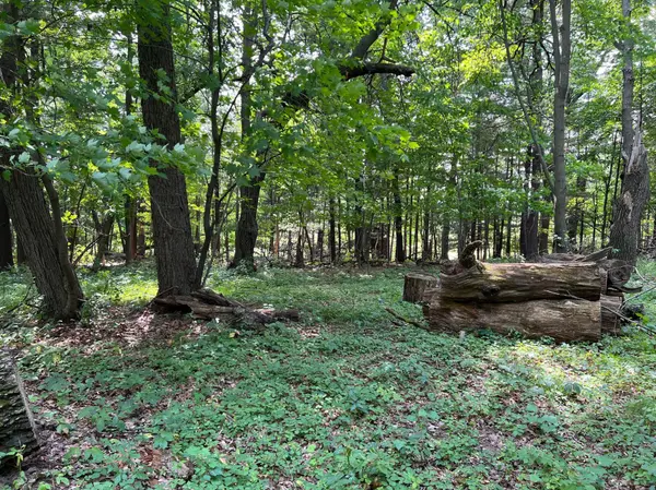XXXX Elmcrest AVE, Stacy, MN 55079