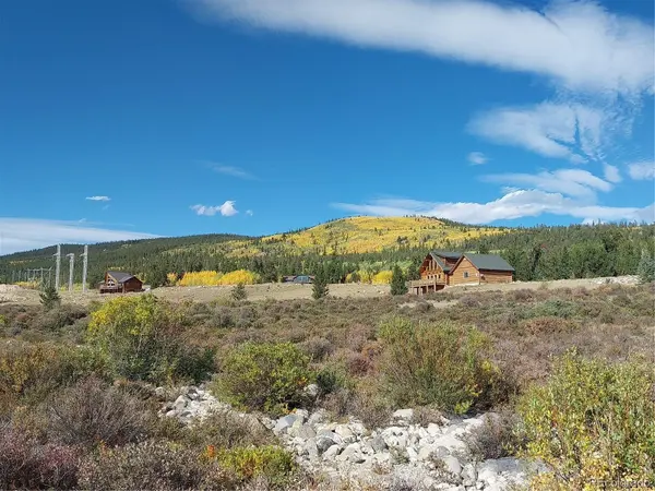 64 Glissade TRL, Alma, CO 80420