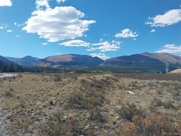 64 Glissade TRL, Alma, CO 80420