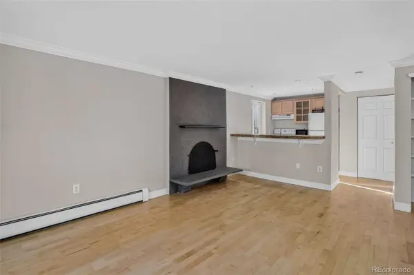1125 N Washington ST #201, Denver, CO 80203