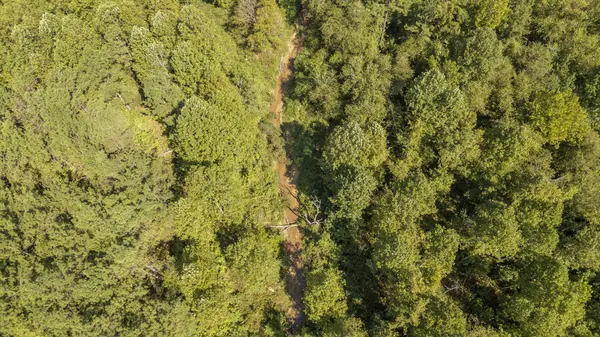 5887 Beauty Hill Rd, Adamsville, TN 38310