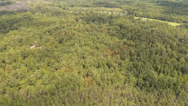0 Terry Hair Rd, Adamsville, TN 38310