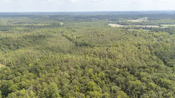 0 Terry Hair Rd, Adamsville, TN 38310
