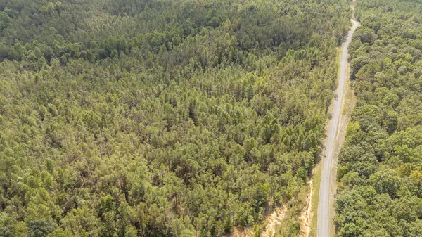 0 Terry Hair Rd, Adamsville, TN 38310