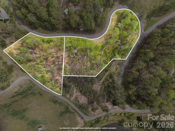 99999 White Pine LN #19 & 18, Bakersville, NC 28705