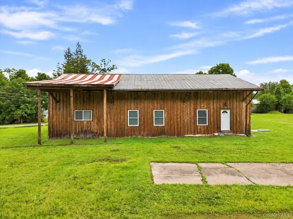 13 Creamery RD, Livingston Manor, NY 12758