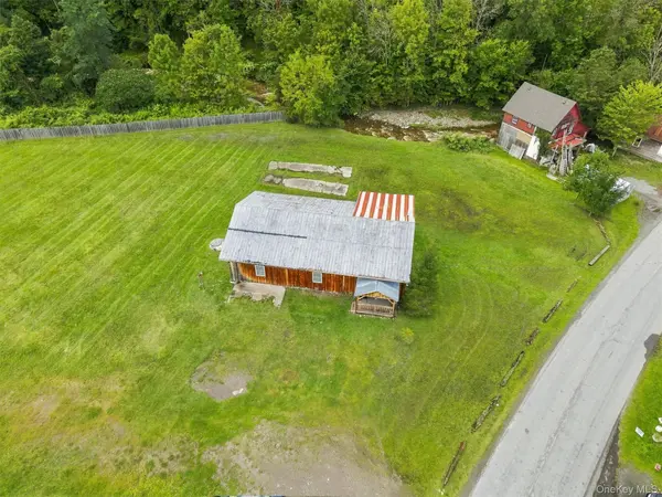 13 Creamery RD, Livingston Manor, NY 12758