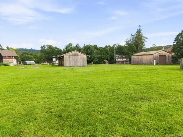 13 Creamery RD, Livingston Manor, NY 12758