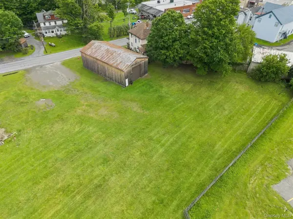 9 Creamery RD, Livingston Manor, NY 12758