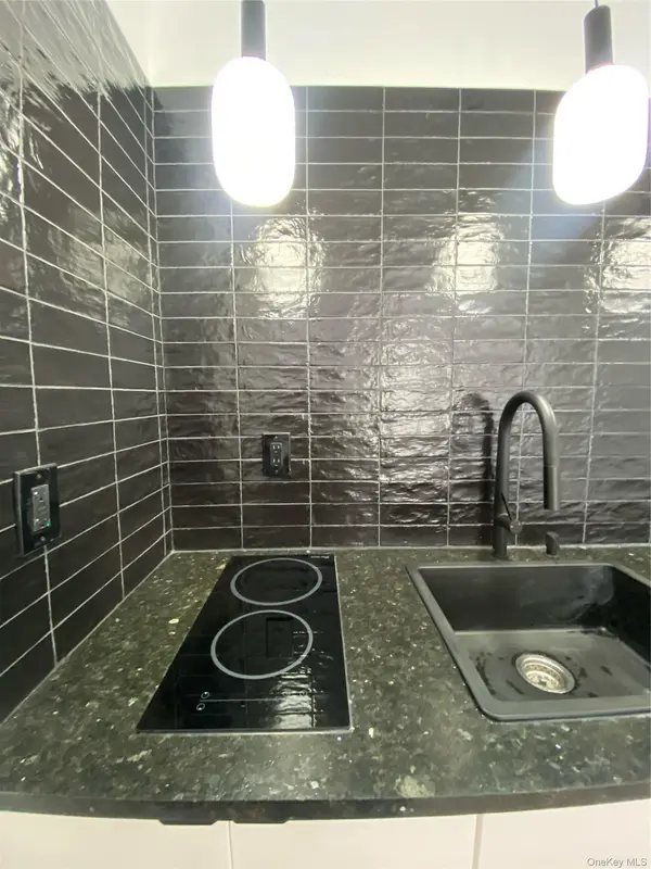 550 55 #1, Call Listing Agent, NY 12732