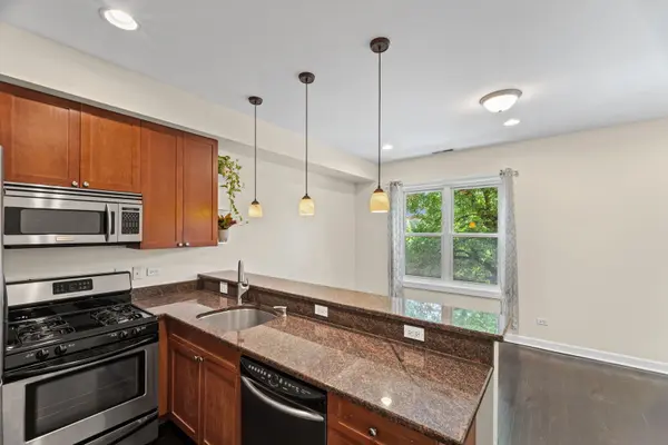 1900 W Byron ST #2, Chicago, IL 60618
