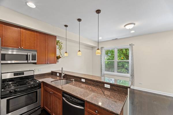 1900 W Byron ST #2, Chicago, IL 60618
