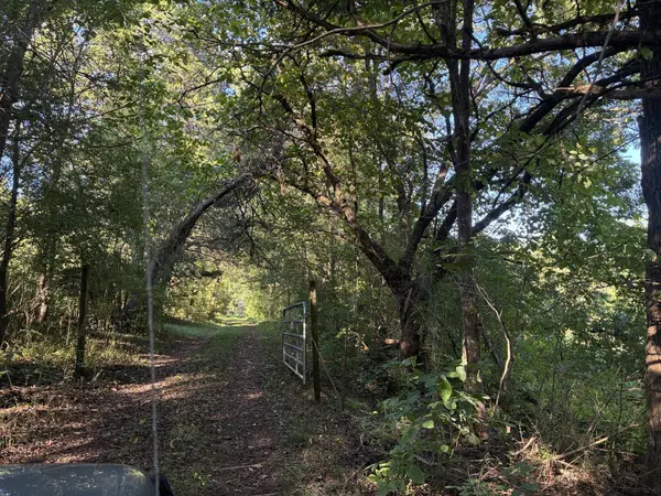 0 County Road 675, Riceville, TN 37370