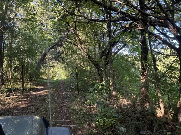 0 County Road 675, Riceville, TN 37370